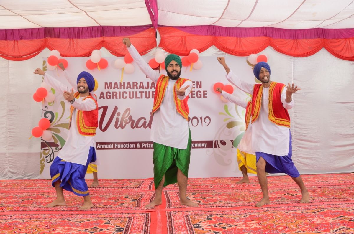 Students performing at cultural fest