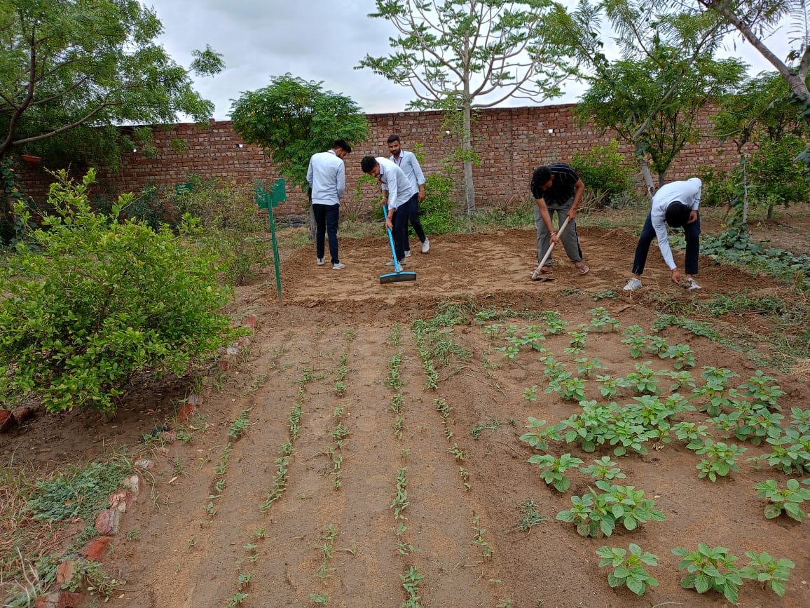 Students learning through field practice